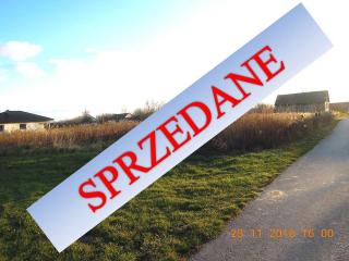 WZORY SPRZEDANE 100