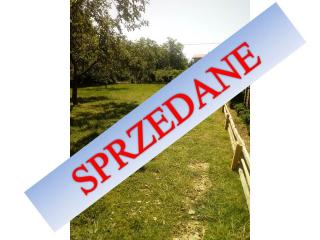 WZORY SPRZEDANE REZERWACJA14
